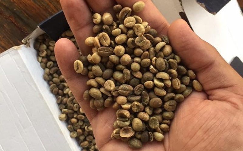 Coffee Beans